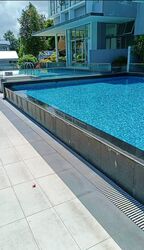 D' Chateau @ Shelford (D11), Apartment #429861801